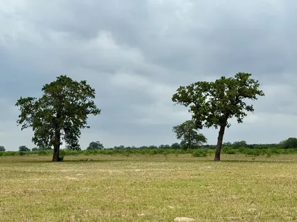 $325,000 | 3 Big Sky Rnch Road, Smithville, TX 78957