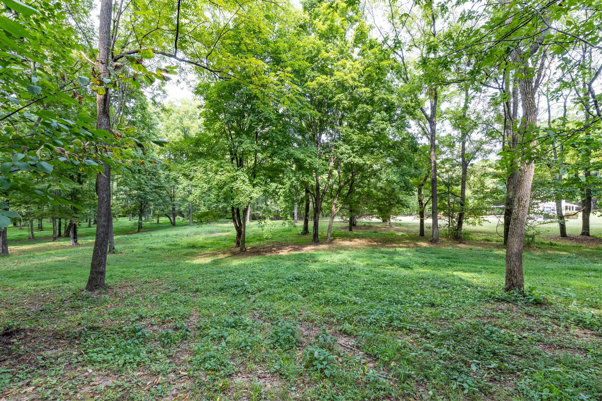 1502 New Deal Potts Road Portland, TN 37148 - Photo 49 of 72 Gallery Image 49