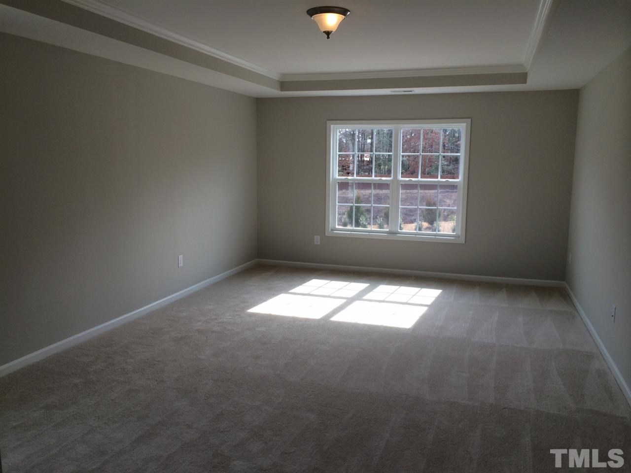 7621 Channery Way Raleigh, NC 27616 - Photo 9 of 25 the trey ceiling really make this room inviting for you.