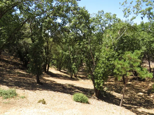 $850,000 | 20144 Brushy Ridge Trail, Colfax, CA 95713