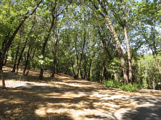 $850,000 | 20144 Brushy Ridge Trail, Colfax, CA 95713