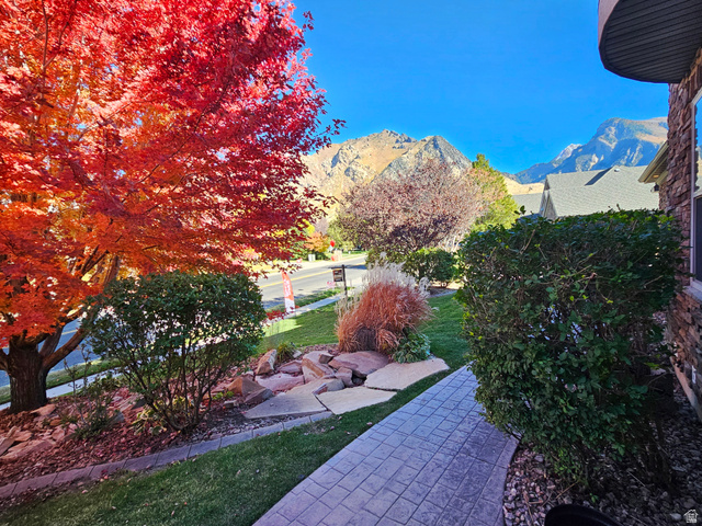 682 Healey Boulevard Alpine, UT 84004 - Photo 4 of 74