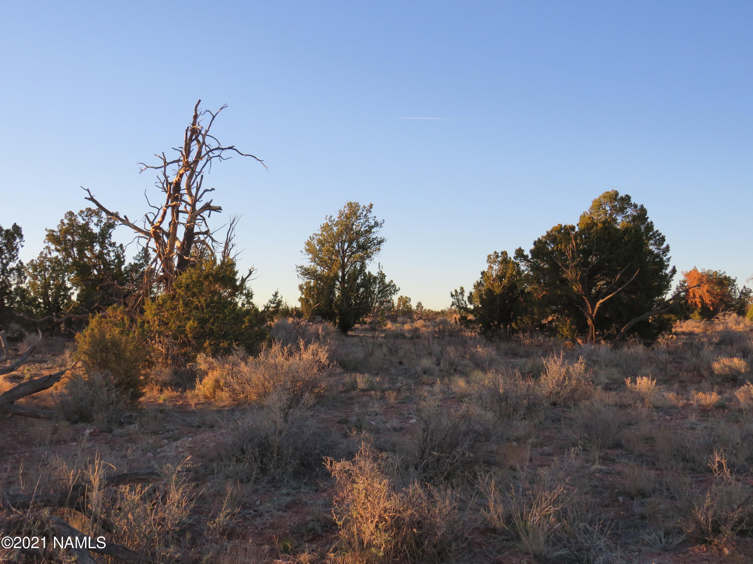 Parcel D Red Butte Road Williams, AZ 86046 - Photo 4 of 17 IMG_0881