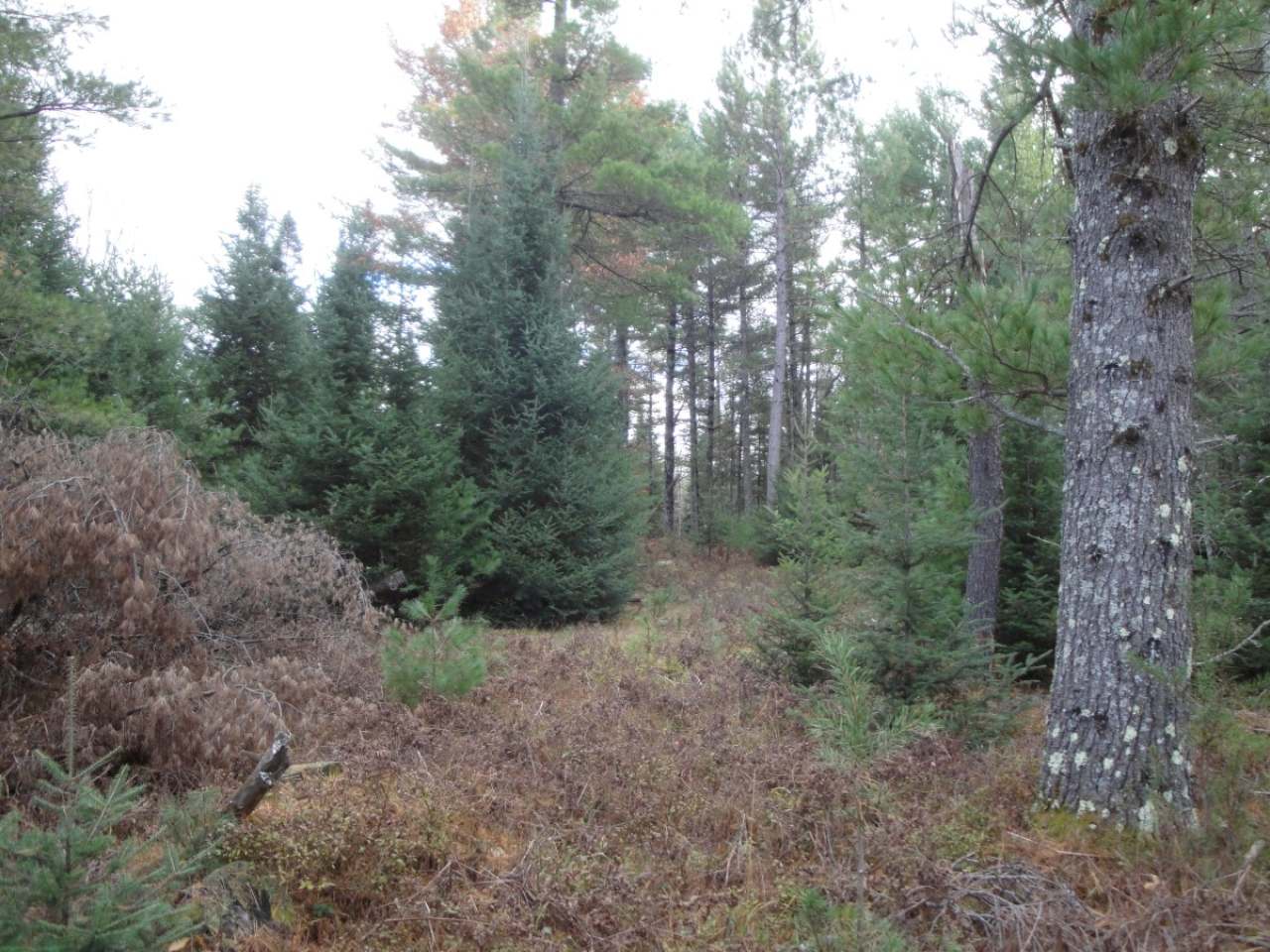 32 Pine Lake Road Rhinelander, WI 54501 - Photo 14 of 16 Gallery Image 14
