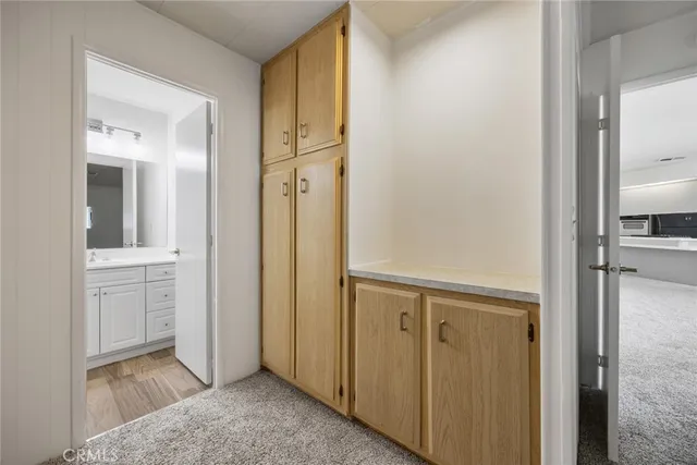 a view of bathroom with a sink mirror and shower