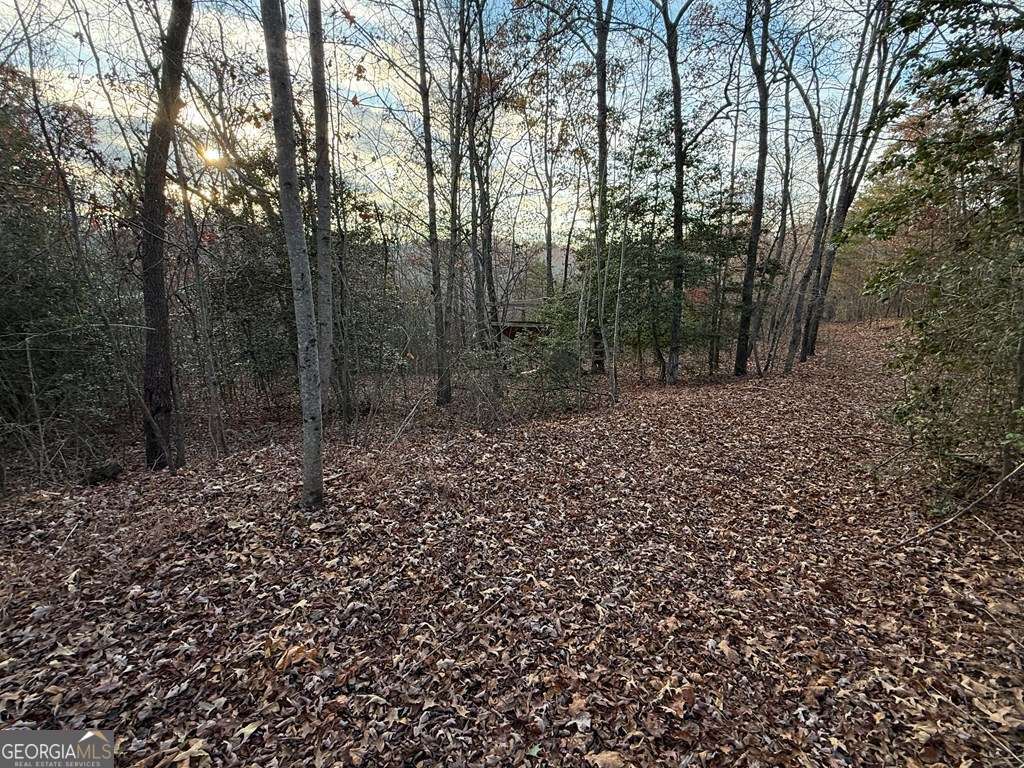 28-32 Stuart Ridge Road Mineral Bluff, GA 30559 - Photo 4 of 8