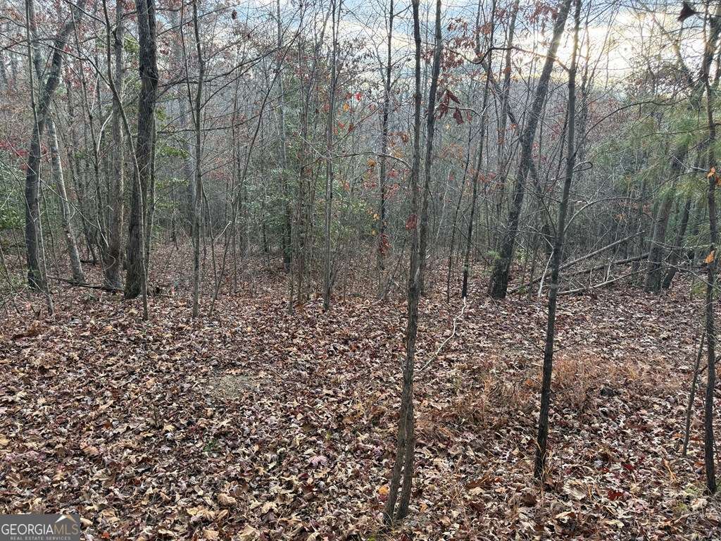 28-32 Stuart Ridge Road Mineral Bluff, GA 30559 - Photo 6 of 8