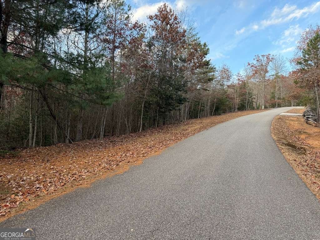 28-32 Stuart Ridge Road Mineral Bluff, GA 30559 - Photo 7 of 8