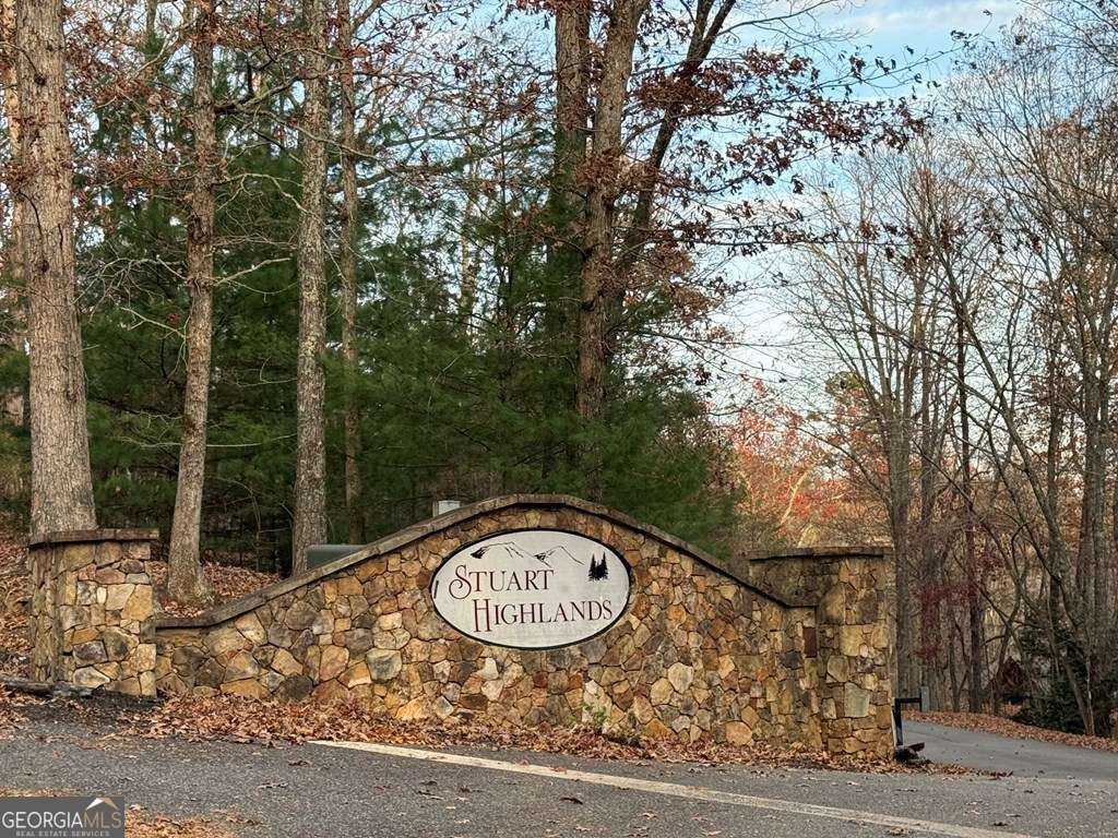 28-32 Stuart Ridge Road Mineral Bluff, GA 30559 - Photo 8 of 8