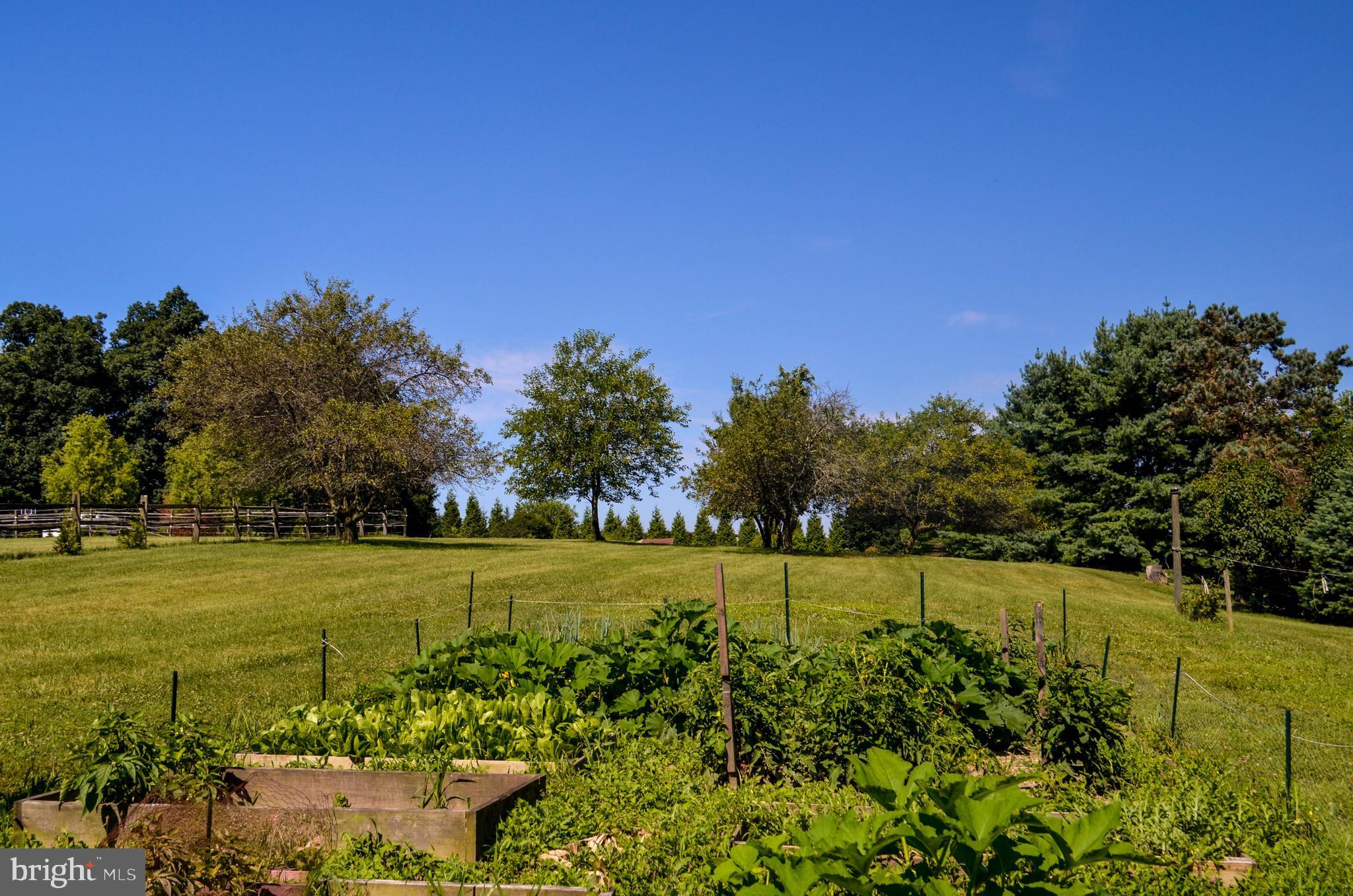 190 Springvale Road Red Lion, PA 17356 - Photo 17 of 50