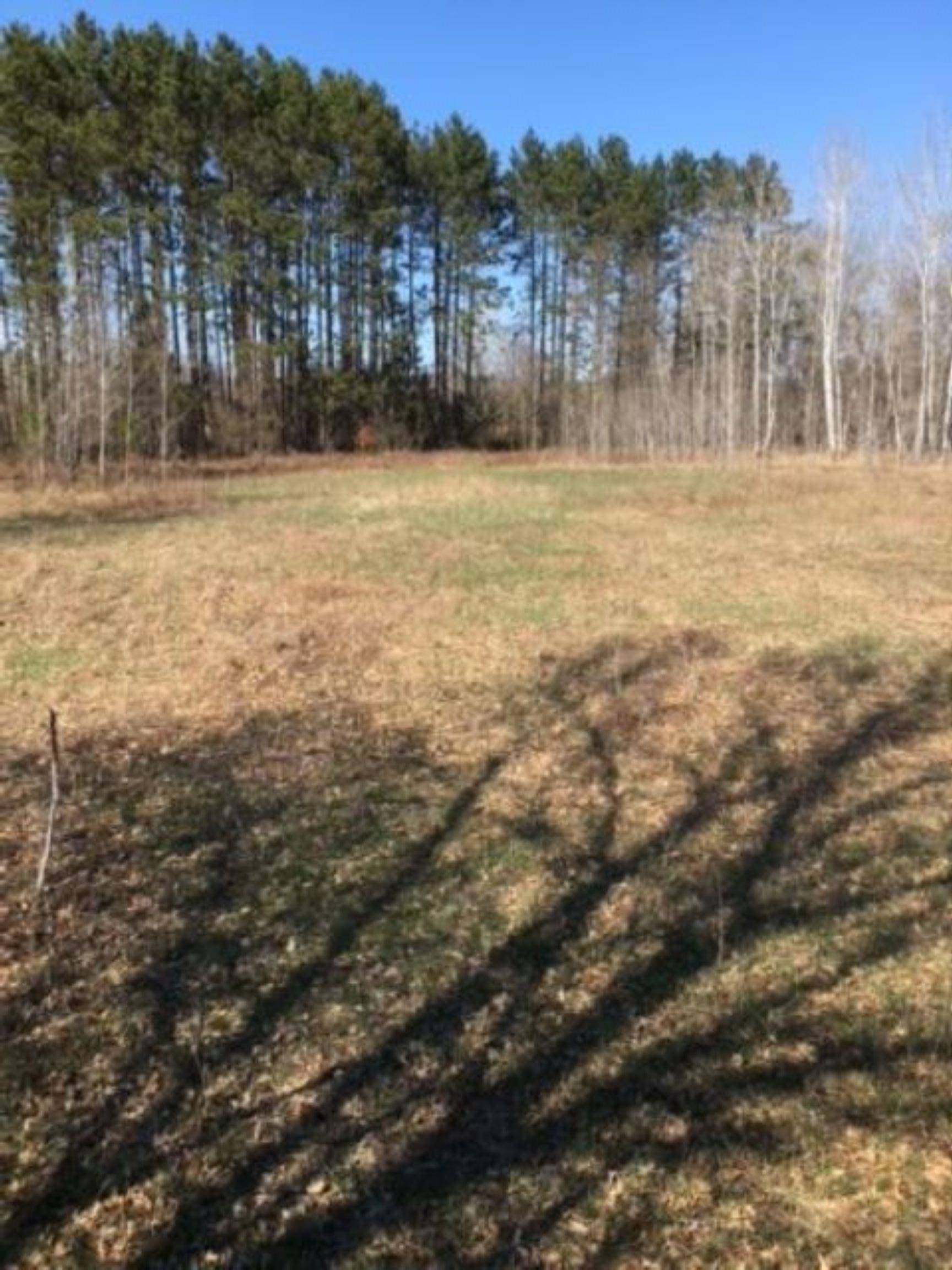 0 North Bowman Road Merritt, MI 49667 - Photo 17 of 24