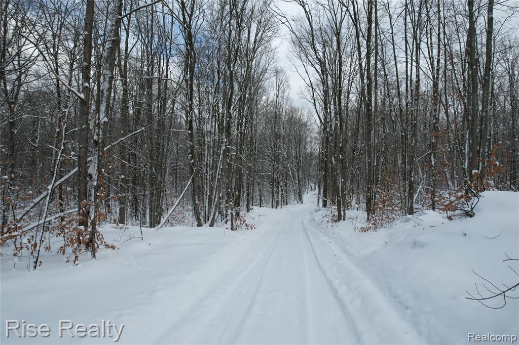 11860 22 3/4 Road Manton, MI 49663 - Photo 2 of 6