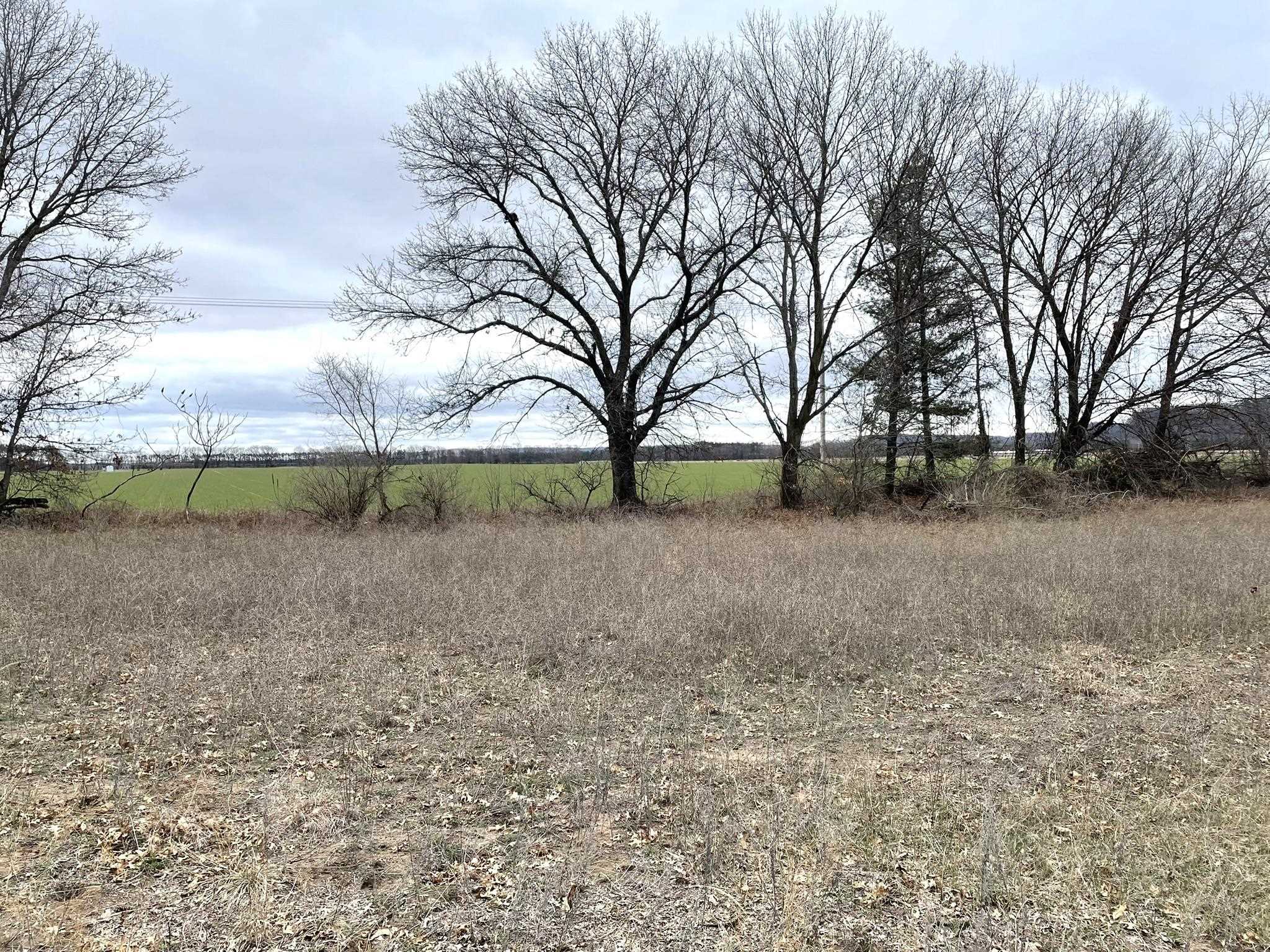 6131 Helena Road Arena, WI 53503 - Photo 13 of 21