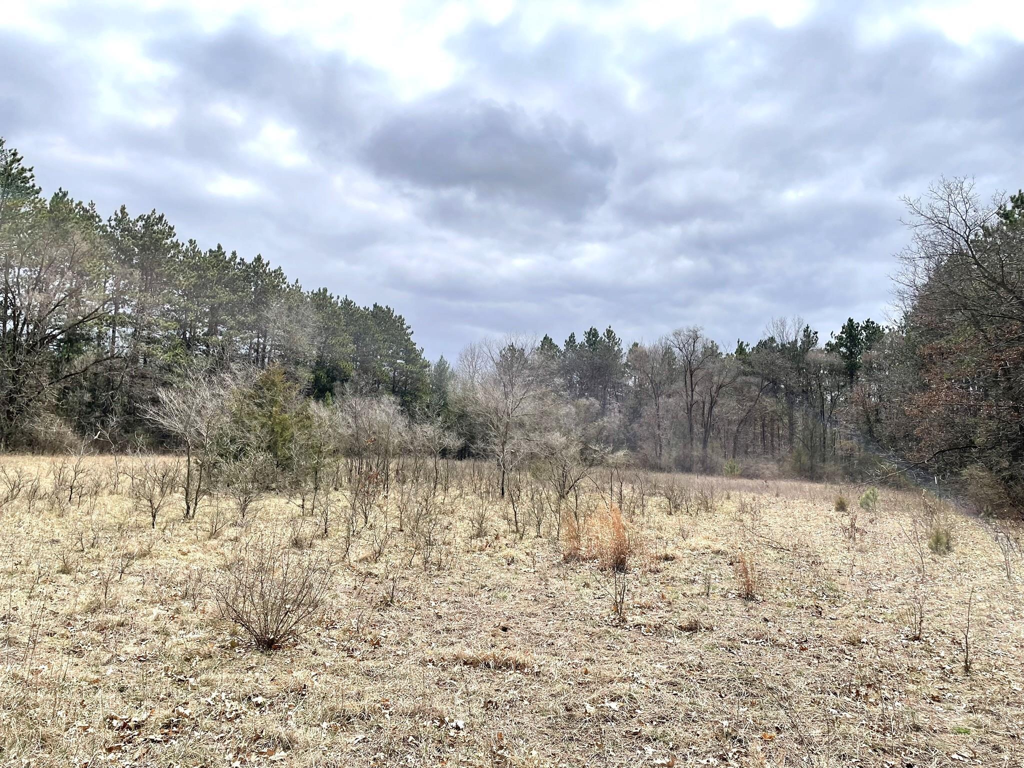 6131 Helena Road Arena, WI 53503 - Photo 5 of 21