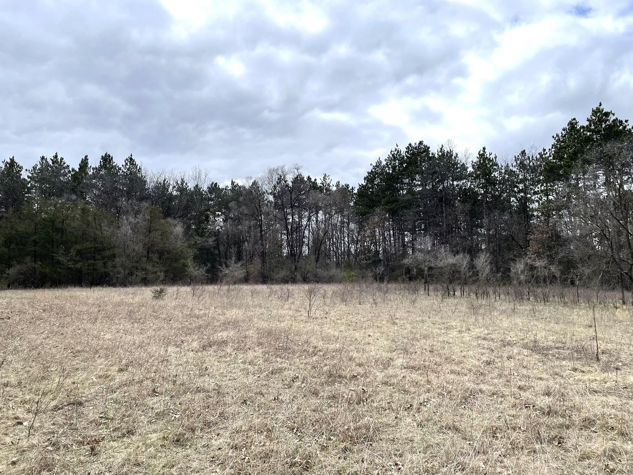 6131 Helena Road Arena, WI 53503 - Photo 8 of 21