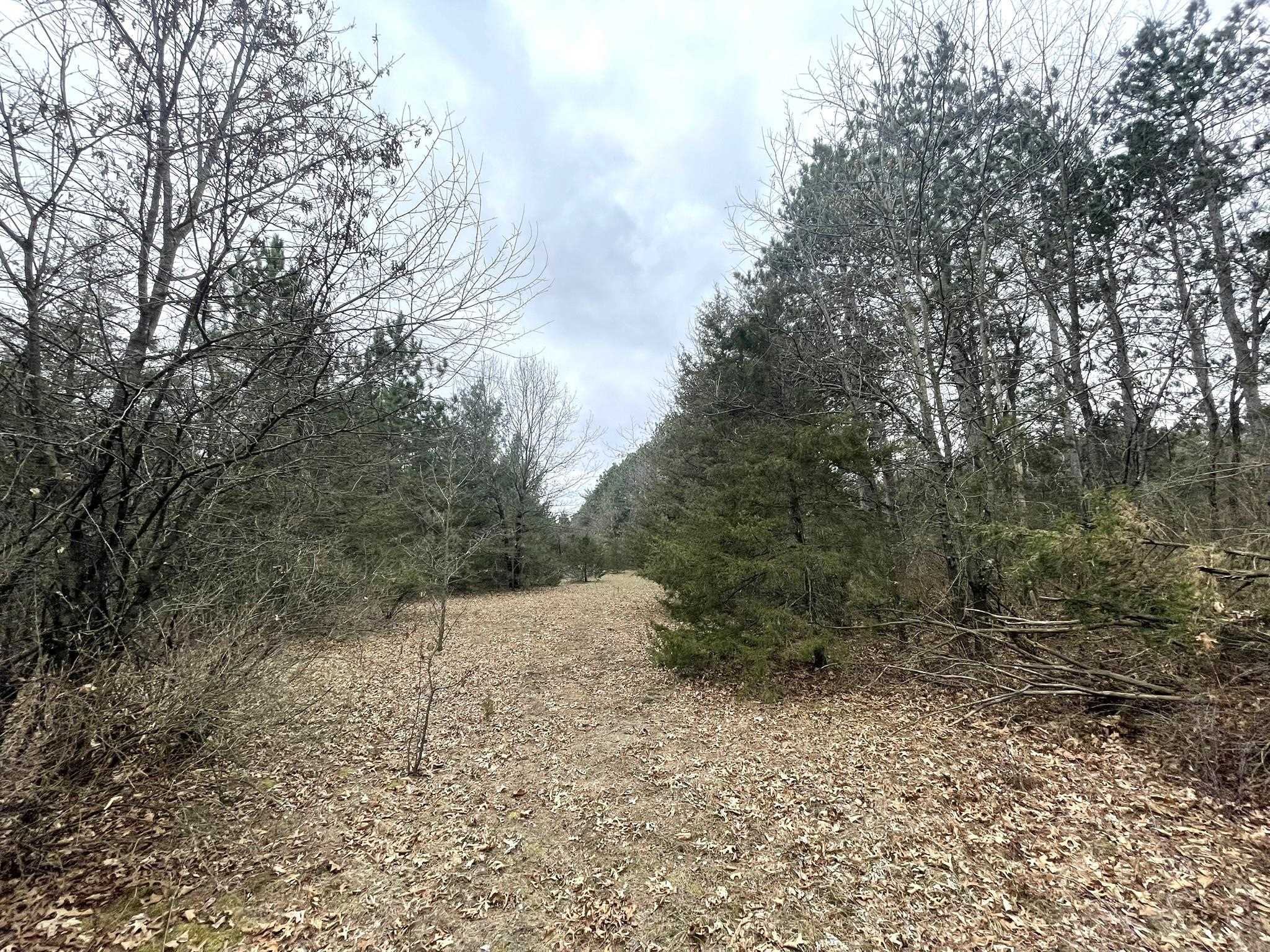 6131 Helena Road Arena, WI 53503 - Photo 9 of 21