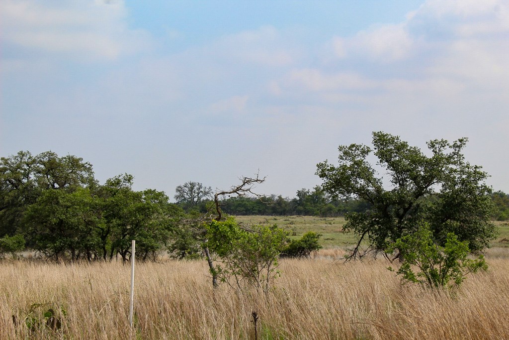 131 Lipan Loop, Unit 16 Harper, TX 78631 - Photo 3 of 3