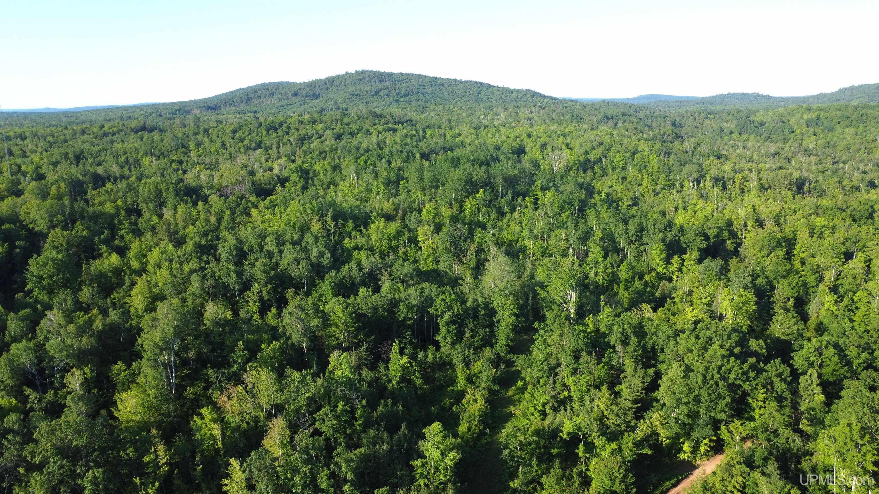 On Alder Cr Road Marquette, MI 49855 - Photo 11 of 20