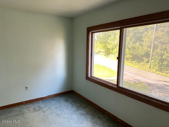 704 Bridge Street Bethlehem, NY 12158 - Photo 16 of 37 IMG_4821