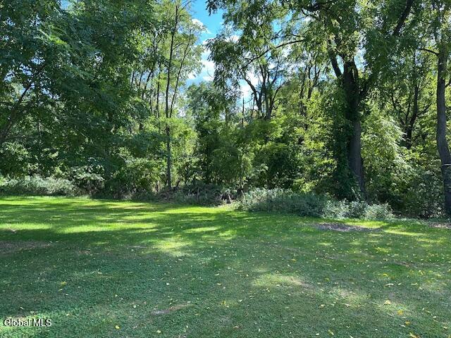 704 Bridge Street Bethlehem, NY 12158 - Photo 32 of 37 IMG_4795