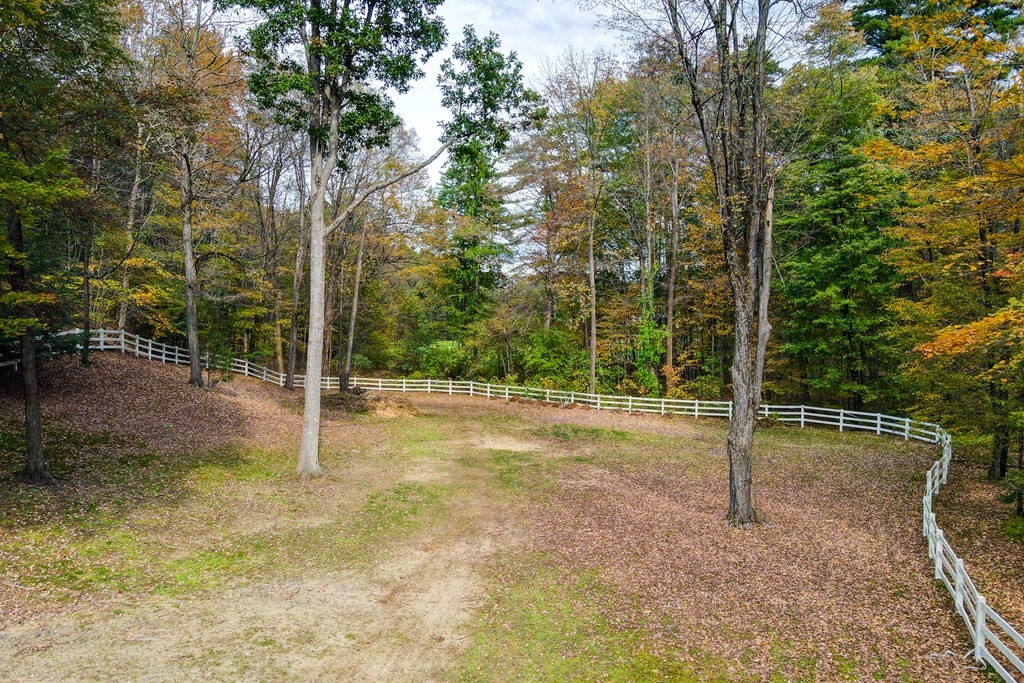 77 Swamp Road Montague, MA 01351 - Photo 34 of 35 a view of a park with large trees