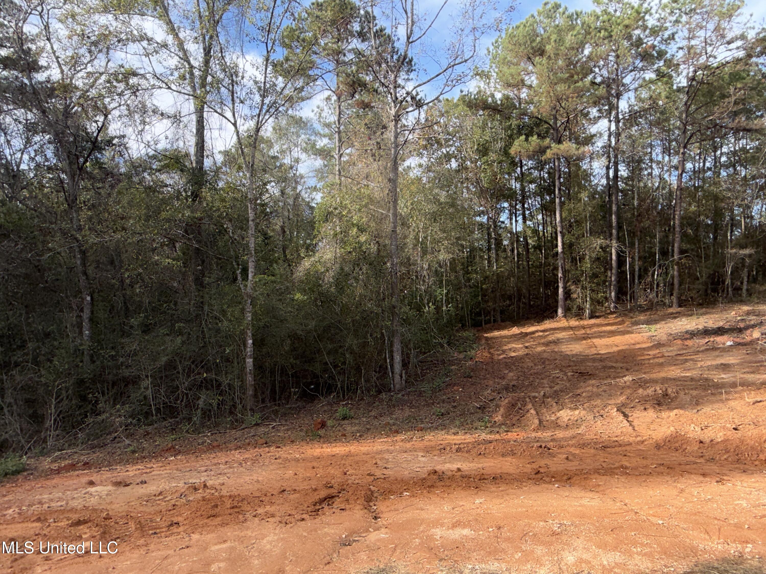 396 George Ford Road Carriere, MS 39426 - Photo 24 of 28 IMG_7321