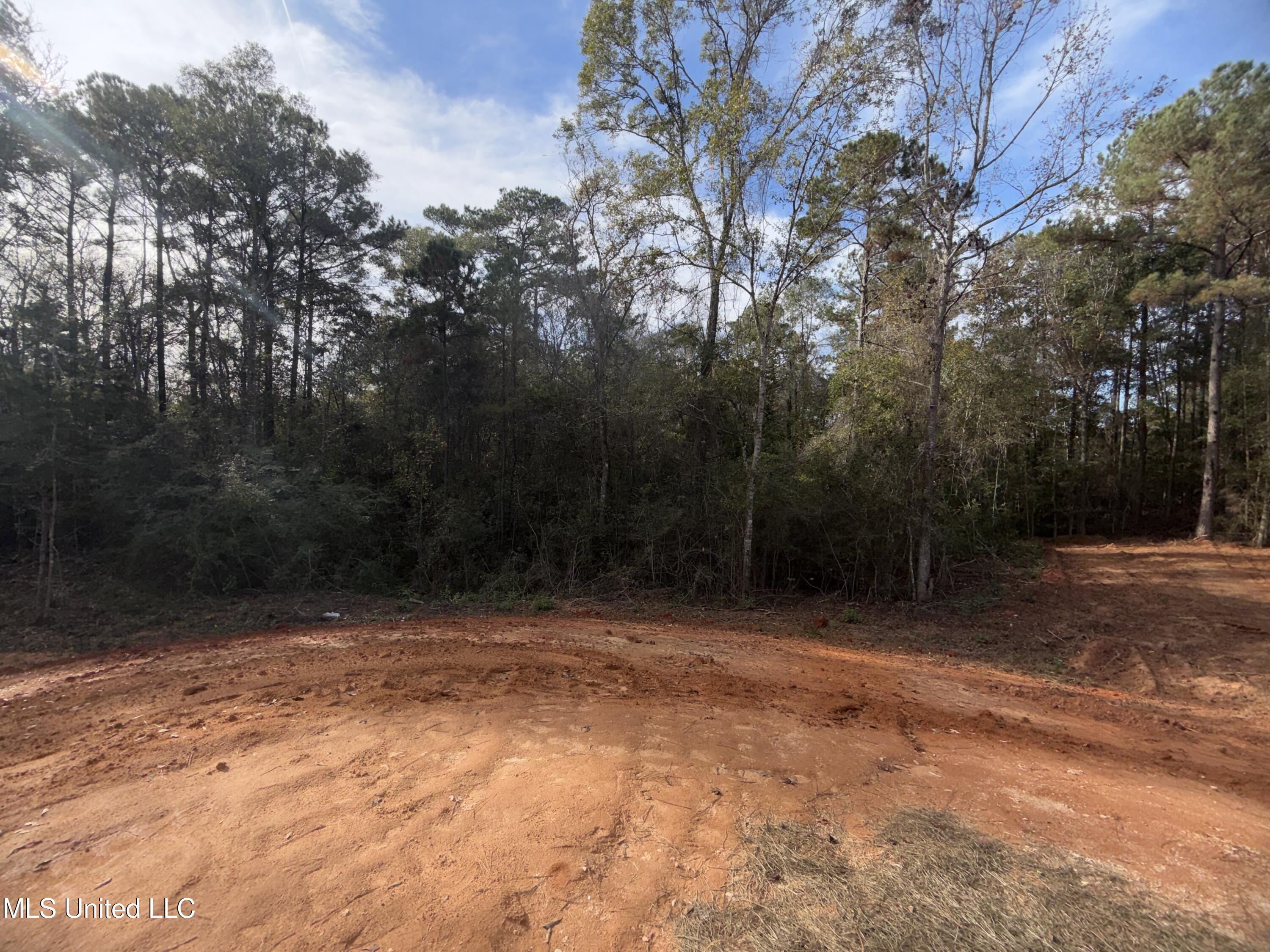 396 George Ford Road Carriere, MS 39426 - Photo 26 of 28 IMG_7322