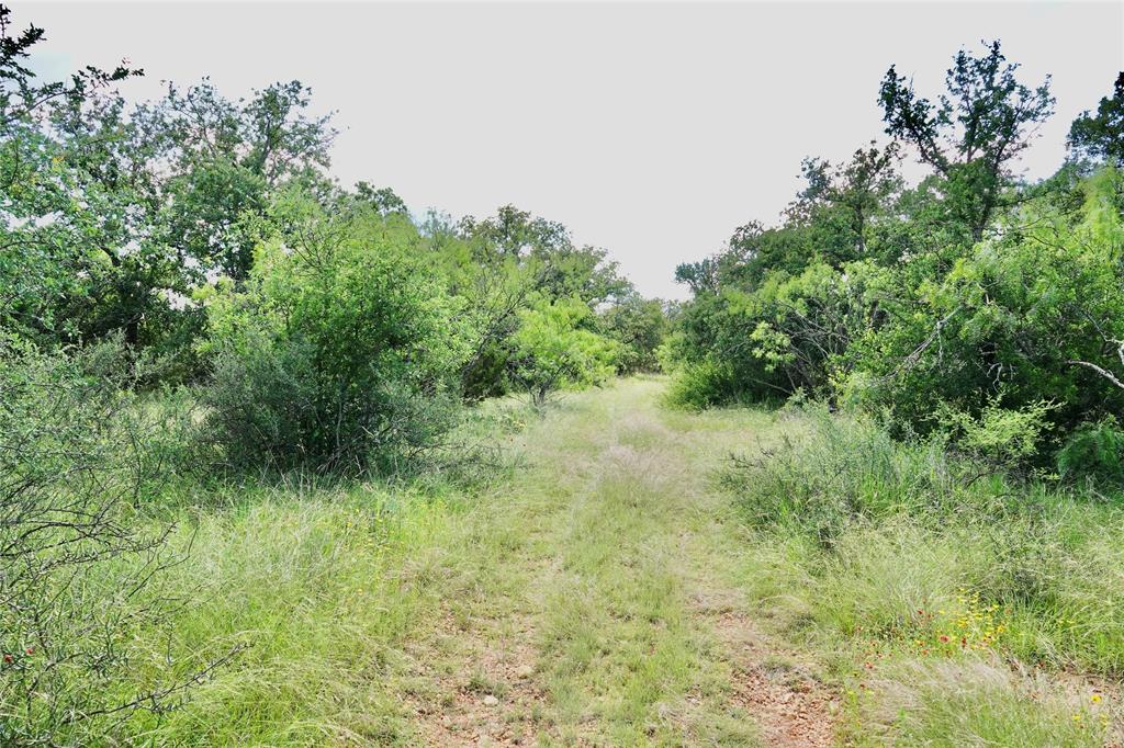 219 C R 550 Mullin, TX 76864 - Photo 33 of 37 a view of a lush green space