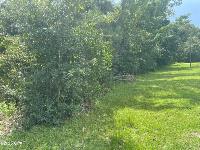 $85,000 | 0 Lot 9 Calhoun Road, Greenwood, FL 32443