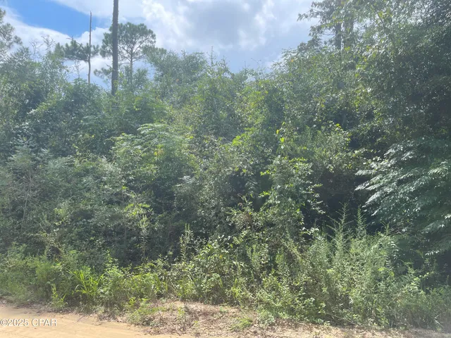 $85,000 | 0 Lot 9 Calhoun Road, Greenwood, FL 32443