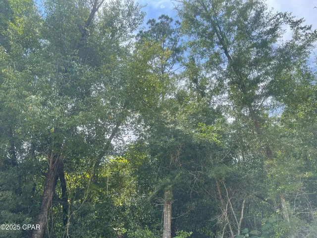 $85,000 | 0 Lot 9 Calhoun Road, Greenwood, FL 32443