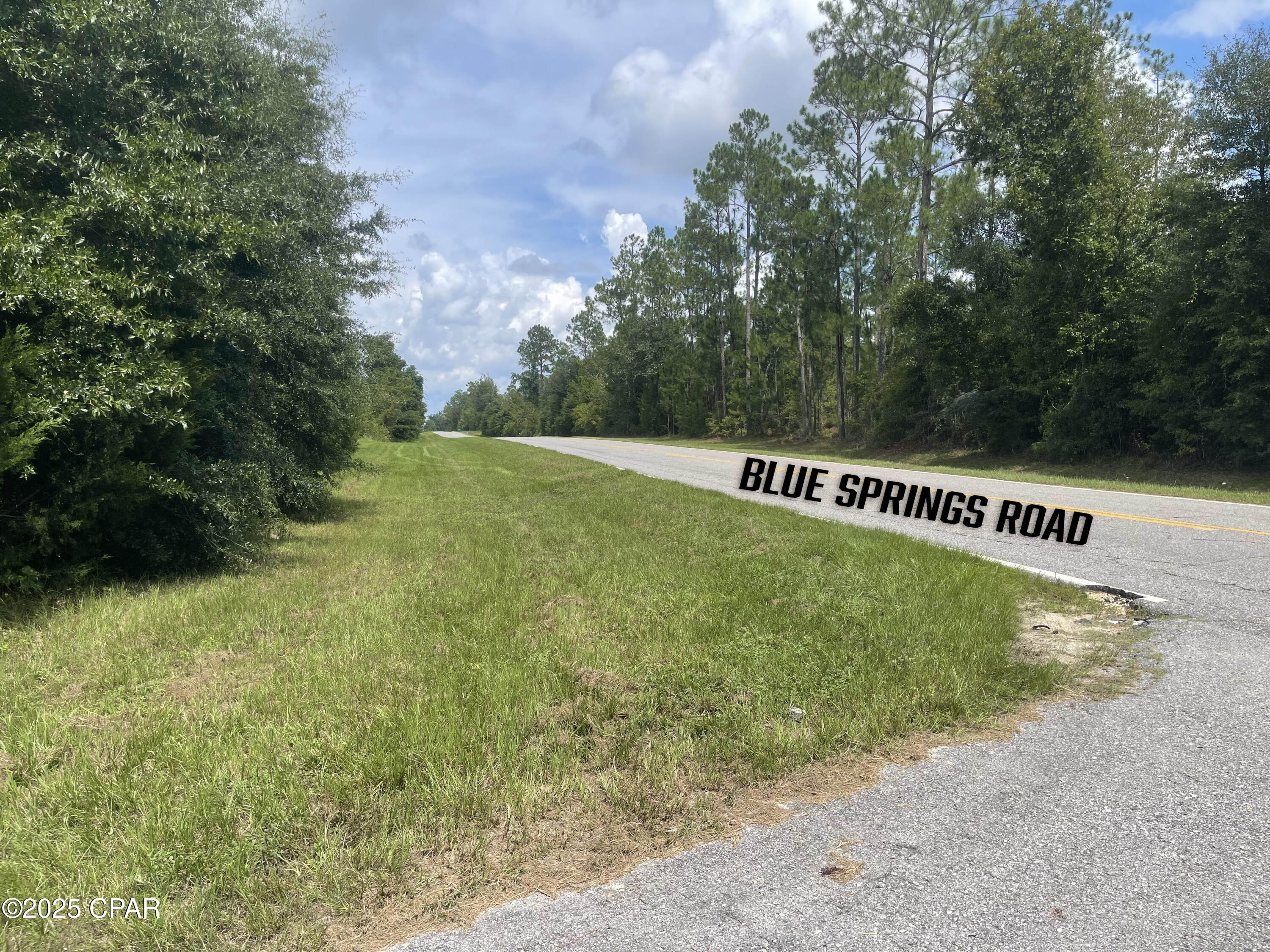 0 Lot 9 Calhoun Road Greenwood, FL 32443 - Photo 4 of 10