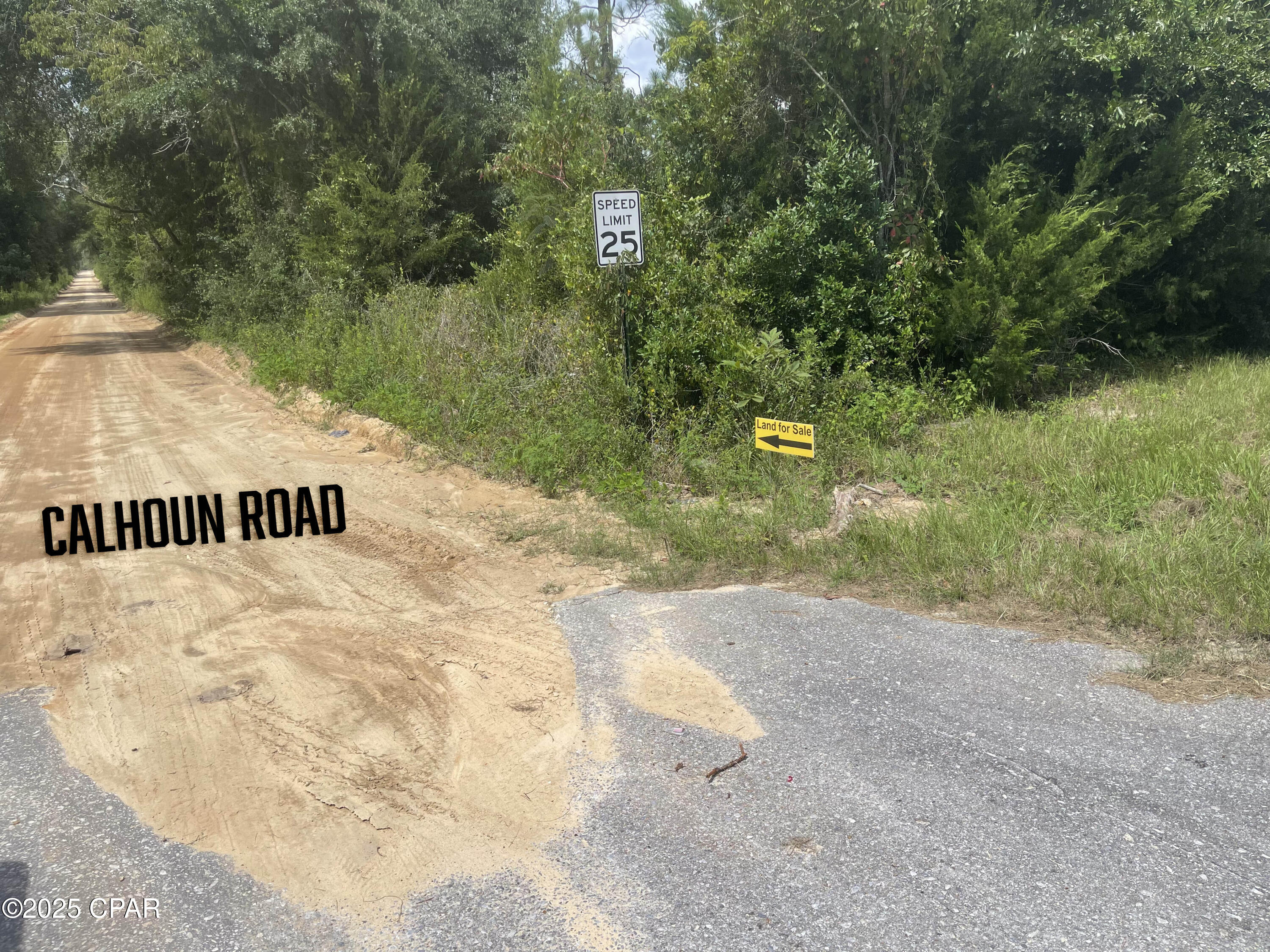 0 Lot 9 Calhoun Road Greenwood, FL 32443 - Photo 5 of 10