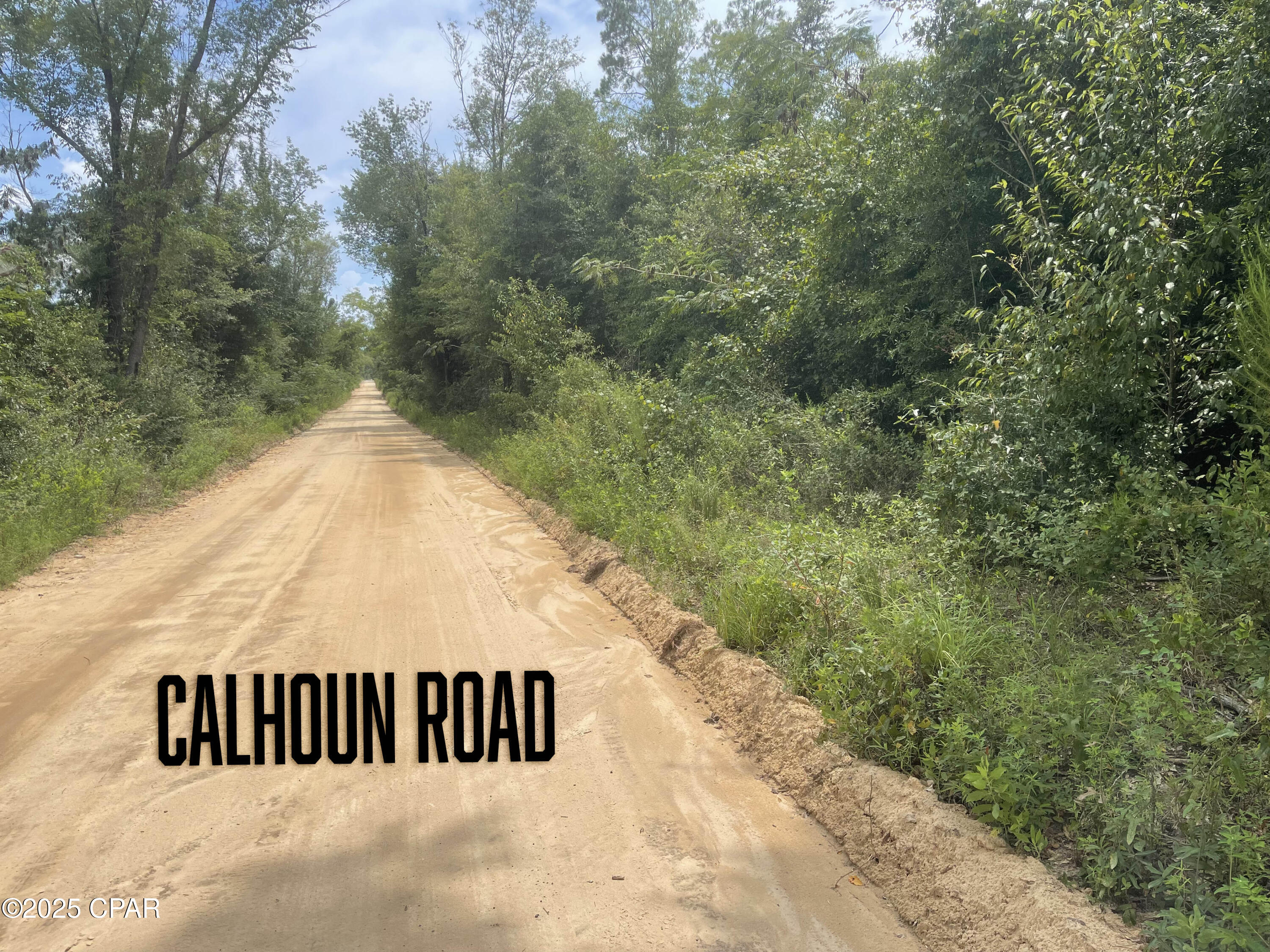 0 Lot 9 Calhoun Road Greenwood, FL 32443 - Photo 6 of 10