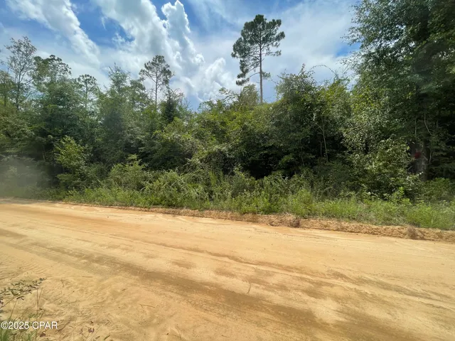 $85,000 | 0 Lot 9 Calhoun Road, Greenwood, FL 32443