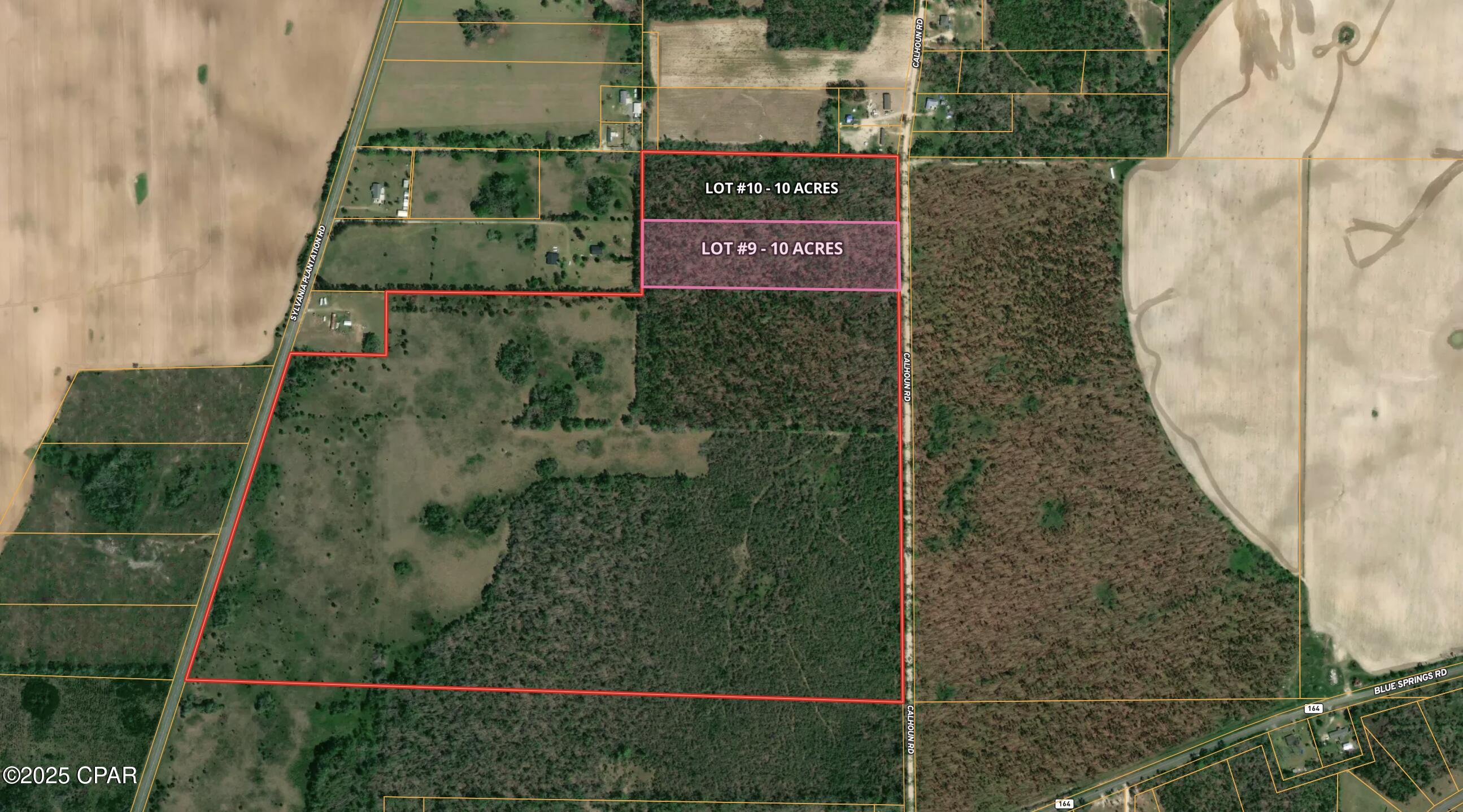 0 Lot 9 Calhoun Road Greenwood, FL 32443 - Photo 8 of 10