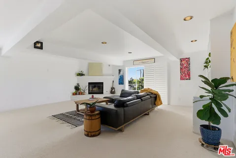 a living room with furniture a fireplace and a potted plant