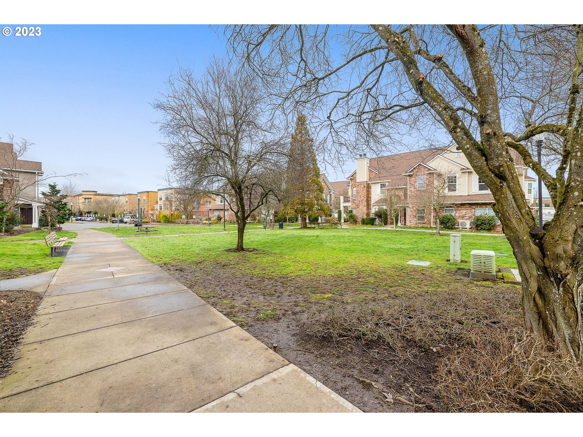 1110 Northeast 63rd Way, Unit 2009 Hillsboro, OR 97124 - Photo 23 of 31 a view of yard with swimming pool