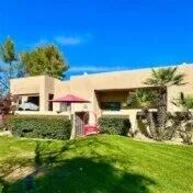a view of a backyard with plants