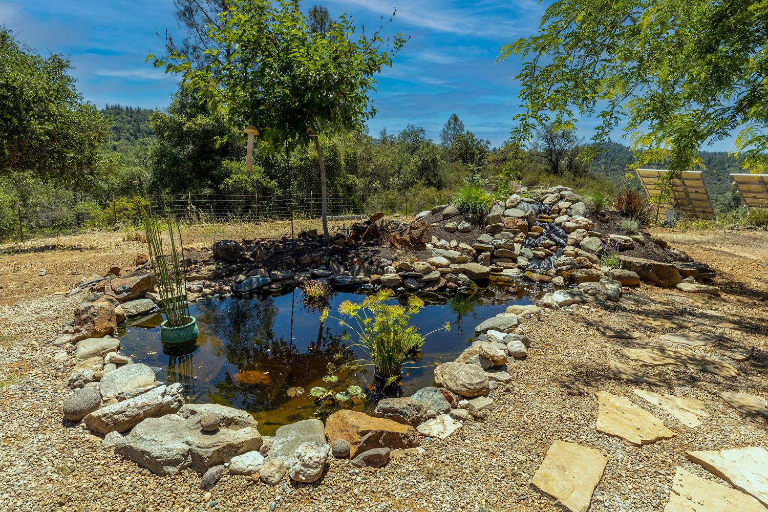 5603 Gold Mountain Road Mountain Ranch, CA 95246 - Photo 47 of 78 COY POND IS CURRENTLY DRY BUT THIS SHOWS YOU WHAT IT CAN BE