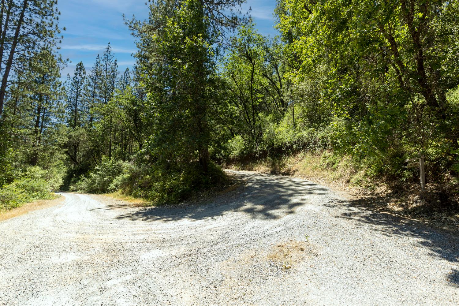 5603 Gold Mountain Road Mountain Ranch, CA 95246 - Photo 67 of 78 a view of a yard with plants and trees