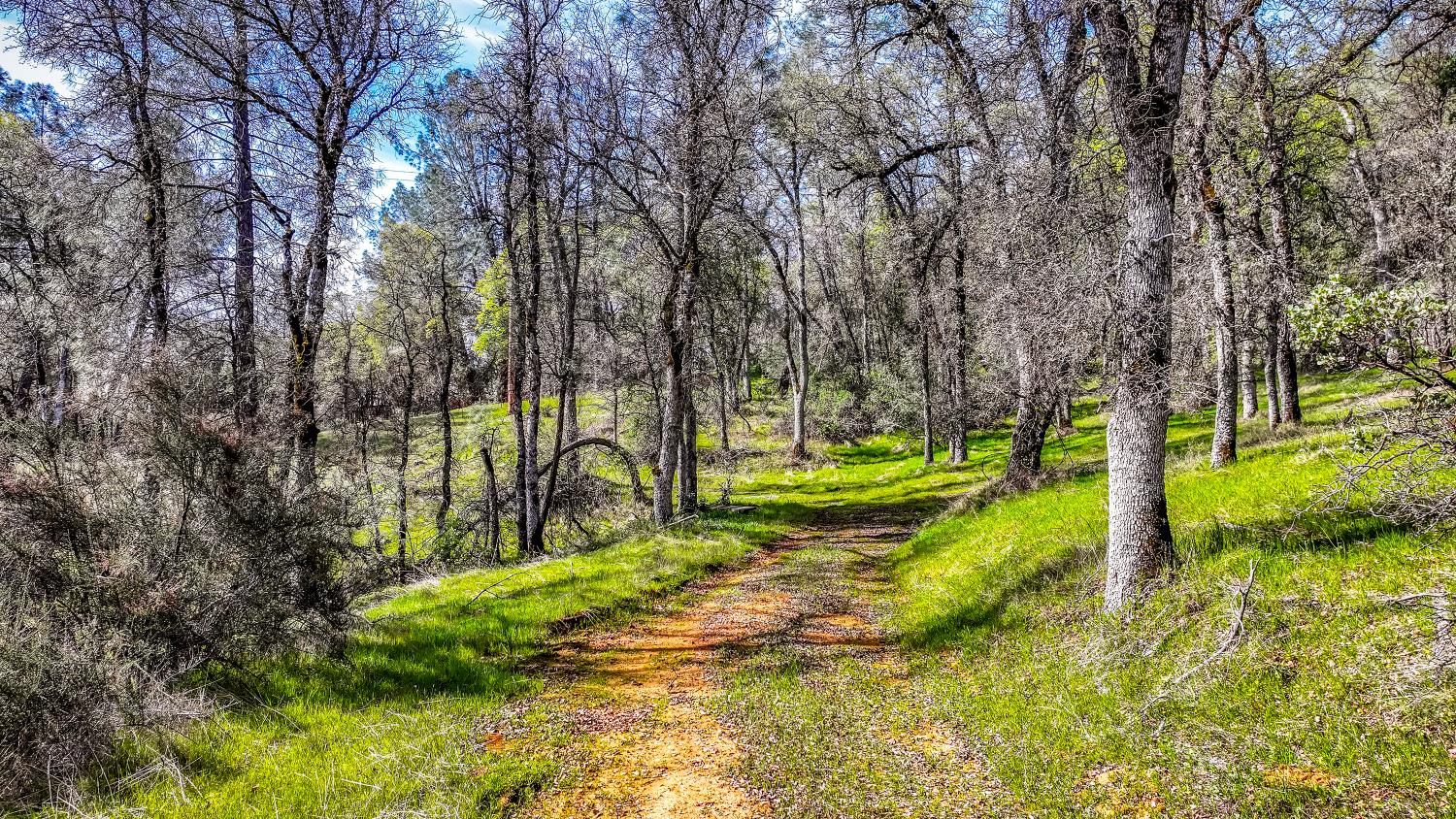 5603 Gold Mountain Road Mountain Ranch, CA 95246 - Photo 68 of 78 a view of a yard with swimming pool