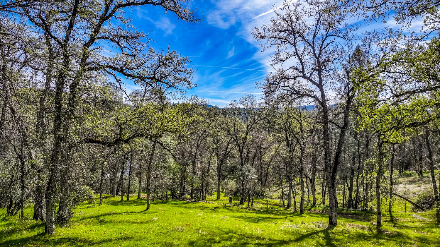 5603 Gold Mountain Road Mountain Ranch, CA 95246 - Photo 69 of 78 a view of yard with swimming pool and trees