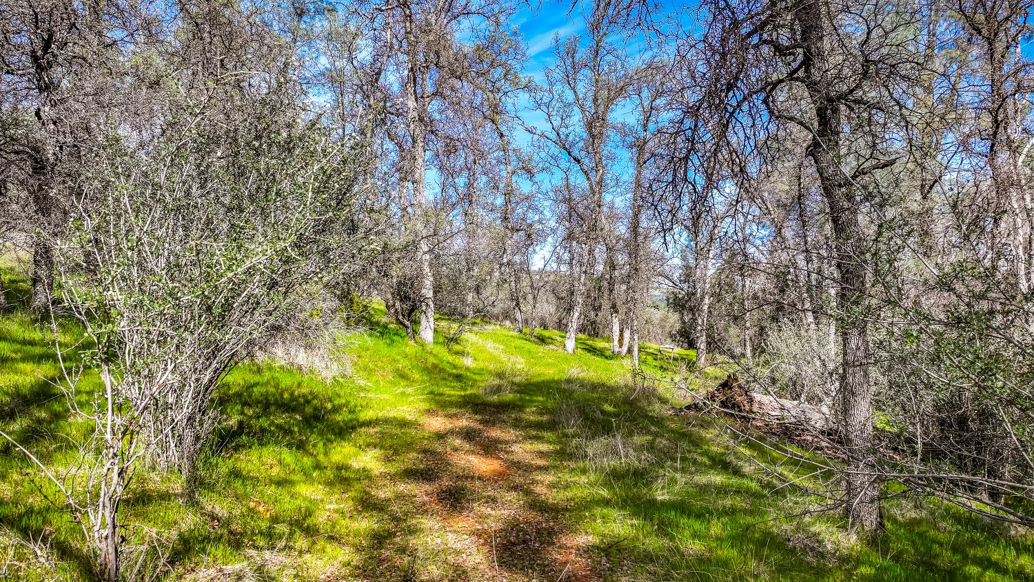 5603 Gold Mountain Road Mountain Ranch, CA 95246 - Photo 70 of 78