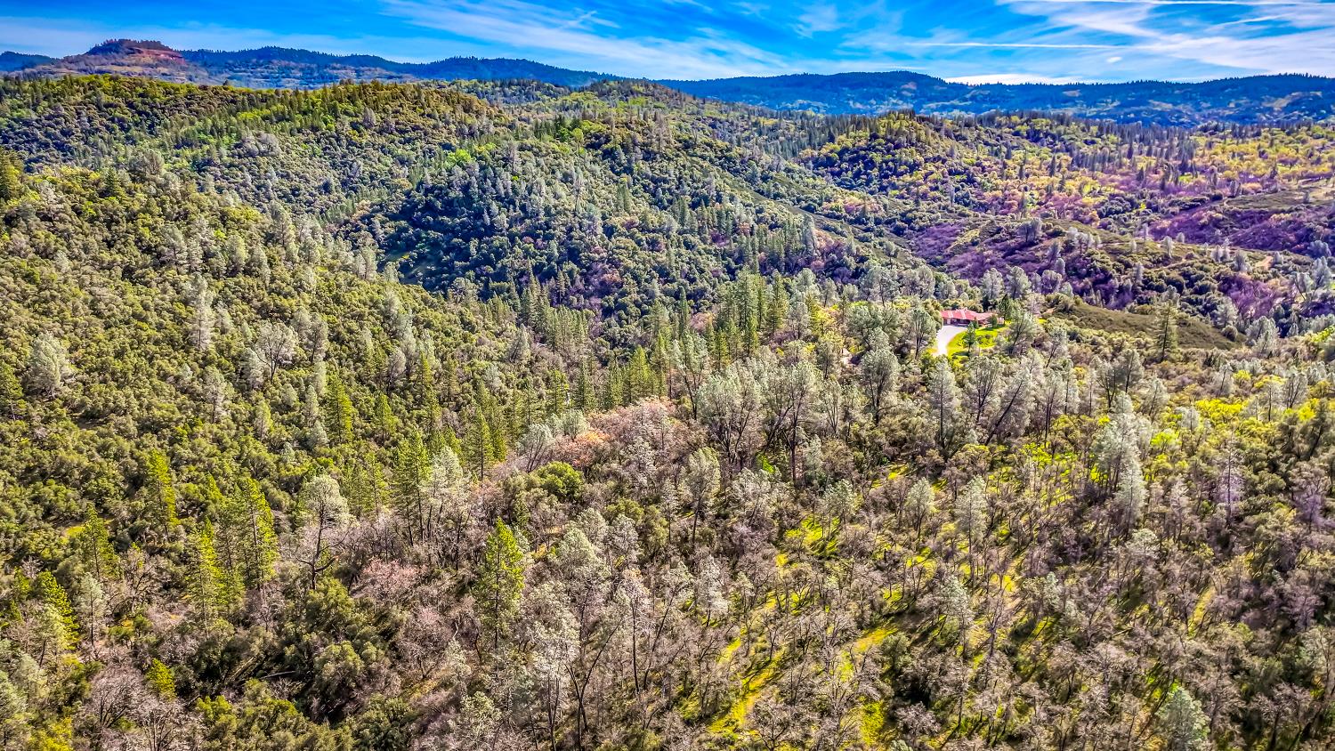 5603 Gold Mountain Road Mountain Ranch, CA 95246 - Photo 71 of 78