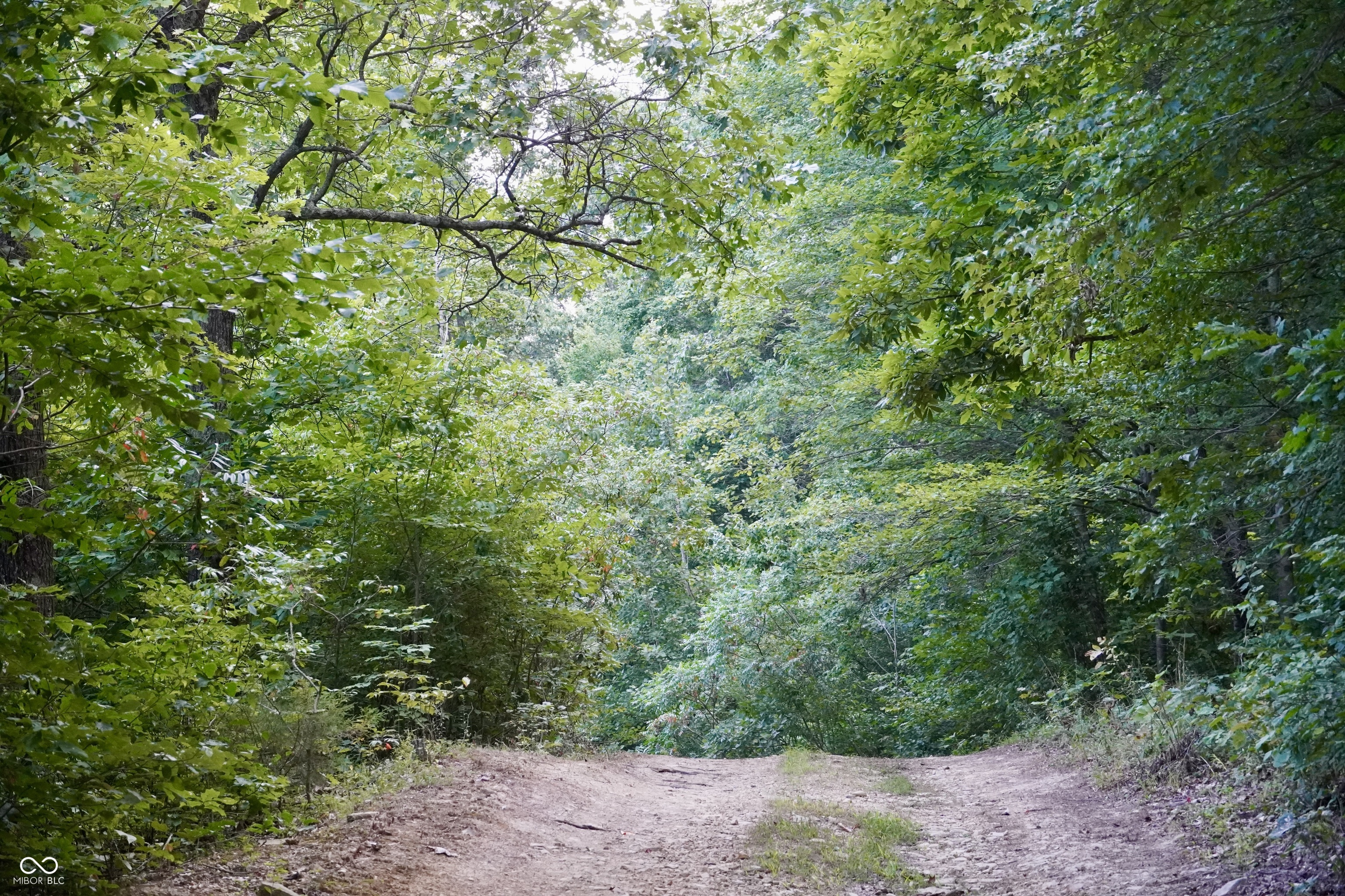 9830 Low Gap Road Martinsville, IN 46151 - Photo 175 of 192 Gallery Image 175