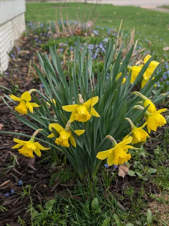 $265,000 | 301 West Washington Street, Greenville, MI 48838