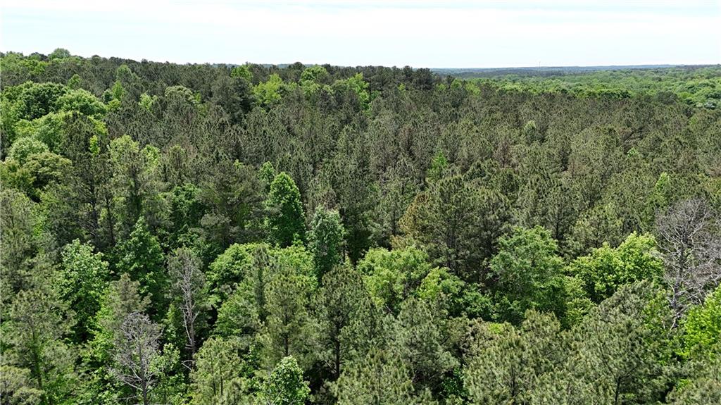 1 Wilson Road Temple, GA 30179 - Photo 70 of 88 an aerial view of residential houses with outdoor space and trees