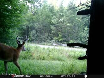 Creek Road Greentown, PA 18426 - Photo 14 of 16