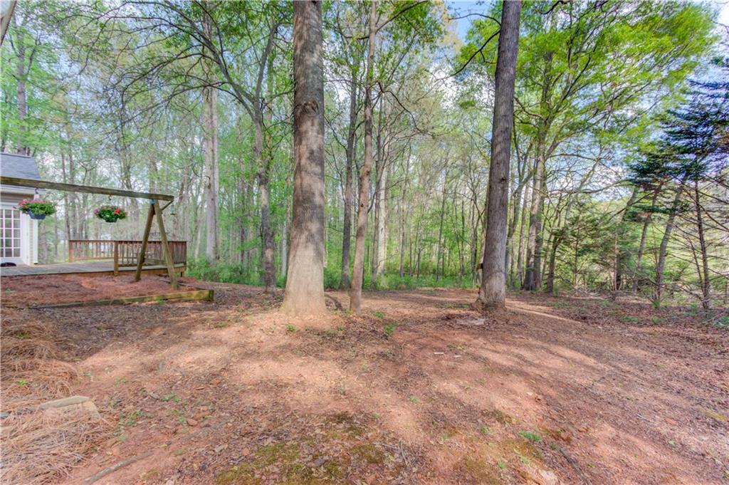 925 Nature Trail Bethlehem, GA 30620 - Photo 33 of 41 a view of a yard with a tree